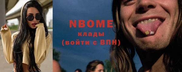 твердый Майский