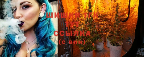 твердый Майский