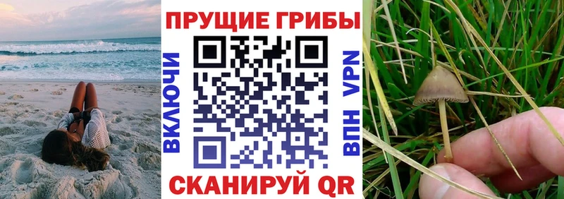 магазин продажи   Иланский  darknet телеграм  Псилоцибиновые грибы мухоморы 