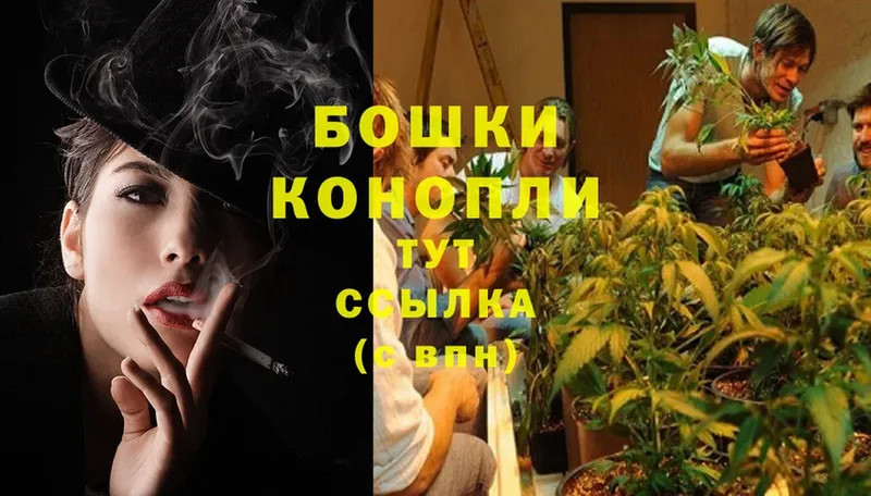 Каннабис SATIVA & INDICA  купить наркотик  Иланский 